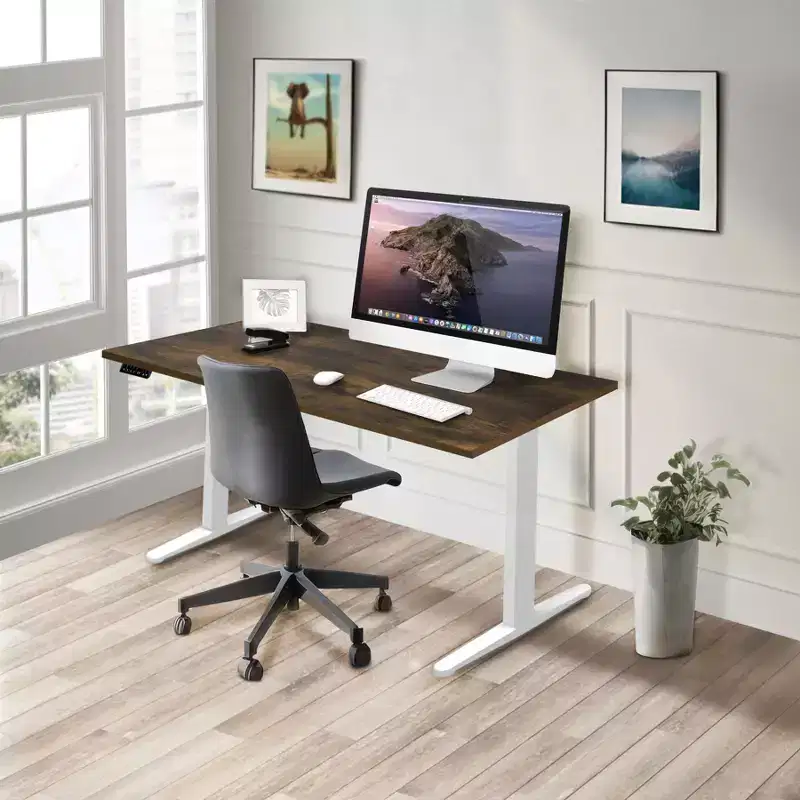 Mount-It! Dual Motor Electric Standing Desk with 55 Tabletop, Oak & White